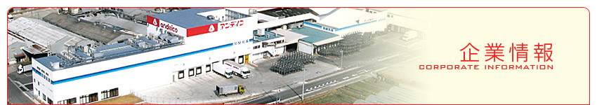 企業情報