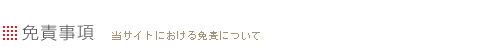 免責事項
